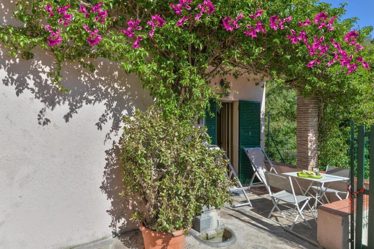 Casa Vacanze Iose Rio Marina Dış mekan fotoğraf